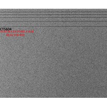 Gạch lát cầu thang 50x60 CT5604
