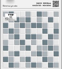 Gạch lát hồ bơi 30x30 TTP343