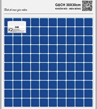 Gạch lát hồ bơi 30x30 TTP346