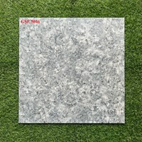 Gạch lát nền 50x50 GSE5046