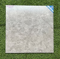 Gạch lát nền 50x50 Viglacera HM502