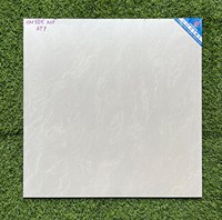 Gạch lát nền 50x50 Viglacera HM505