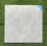 Gạch lát nền 50x50 Viglacera HM506