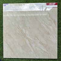 Gạch lát nền 60x60 Catalan 69066