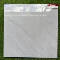 Gạch lát nền 60x60 Catalan 69071