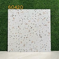 Gạch lát nền Terrazzo 60x60 KIS 60420