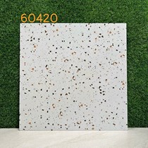 Gạch lát nền Terrazzo 60x60 KIS 60420