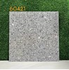 Gạch lát nền Terrazzo 60x60 KIS 60421