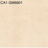Gạch lát nền 60x60 mờ xi măng CA1-GM6601