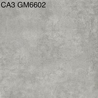 Gạch lát nền 60x60 mờ xi măng CA3-GM6602