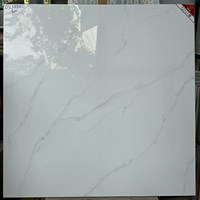 Gạch lát nền 80x80 Prime bóng OV 35502
