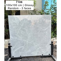 Gạch lát nền Ấn Độ 100x100 7106