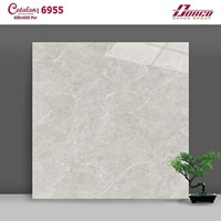 Gạch lát nền đá bóng kính giá rẻ Catalan 600x600 6955