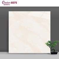 Gạch lát nền đá bóng kính giá rẻ Catalan 60x60 6075