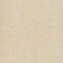 Gạch lát nền Đồng Tâm 100DB016-NANO