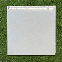 Gạch lát nền giá rẻ 60x60 603