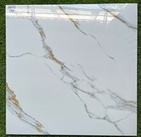 Gạch lát nền giá rẻ 60x60 6603 TQA