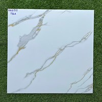Gạch lát nền giá rẻ 60x60 66601