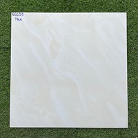 Gạch lát nền giá rẻ 60x60 66603