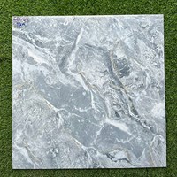 Gạch lát nền giá rẻ 60x60 66605