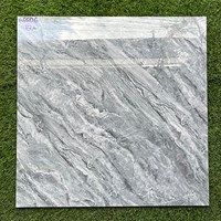 Gạch lát nền giá rẻ 60x60 66606