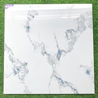 Gạch lát nền giá rẻ 60x60 P6503