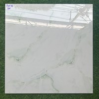 Gạch lát nền giá rẻ 60x60 P6518