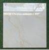Gạch lát nền giá rẻ 60x60 P6519