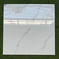 Gạch lát nền giá rẻ 80x80 8802