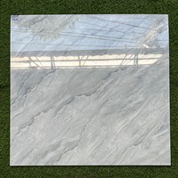 Gạch lát nền giá rẻ 80x80 8805