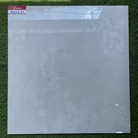 Gạch lát nền giá rẻ 80x80 95002