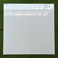 Gạch lát nền giá rẻ 80x80 ECO8800