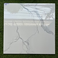 Gạch lát nền giá rẻ 80x80 ECO8811