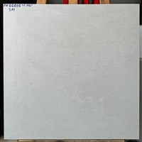 Gạch lát nền Hoàng Gia 60x60 mờ FH 66106M