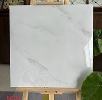 Gạch lát nền Mikado 60x60 6005