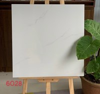 Gạch lát nền Mikado 60x60 6028