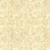 Gạch lát nền Mikado 80x80 CECO801