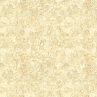 Gạch lát nền Mikado 80x80 CECO801