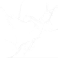 Gạch lát nền Mikado 80x80 MP8804