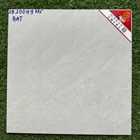 Gạch lát nền Prime 30x30 XĐ20049