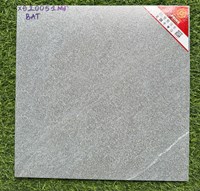 Gạch lát nền Prime 30x30 XĐ20051