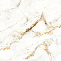 Gạch lát nền Prime 600x600 8478
