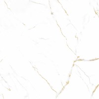 Gạch lát nền Prime 600x600 8496