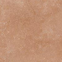 Gạch lát nền Prime 600x600 9101