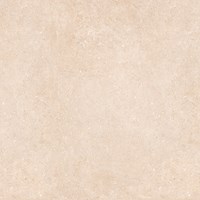 Gạch lát nền Prime 600x600 9102