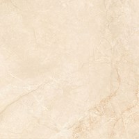 Gạch lát nền Prime 600x600 9325