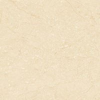 Gạch lát nền Prime 60x60 17010