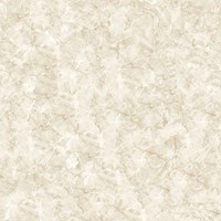 Gạch lát nền Prime 60x60 17127