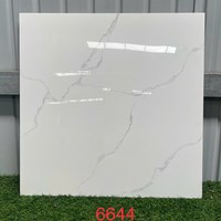 Gạch lát nền Prime 60x60 6644