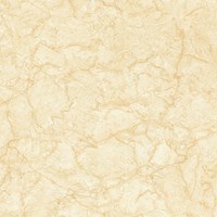 Gạch lát nền Prime 60x60 9243